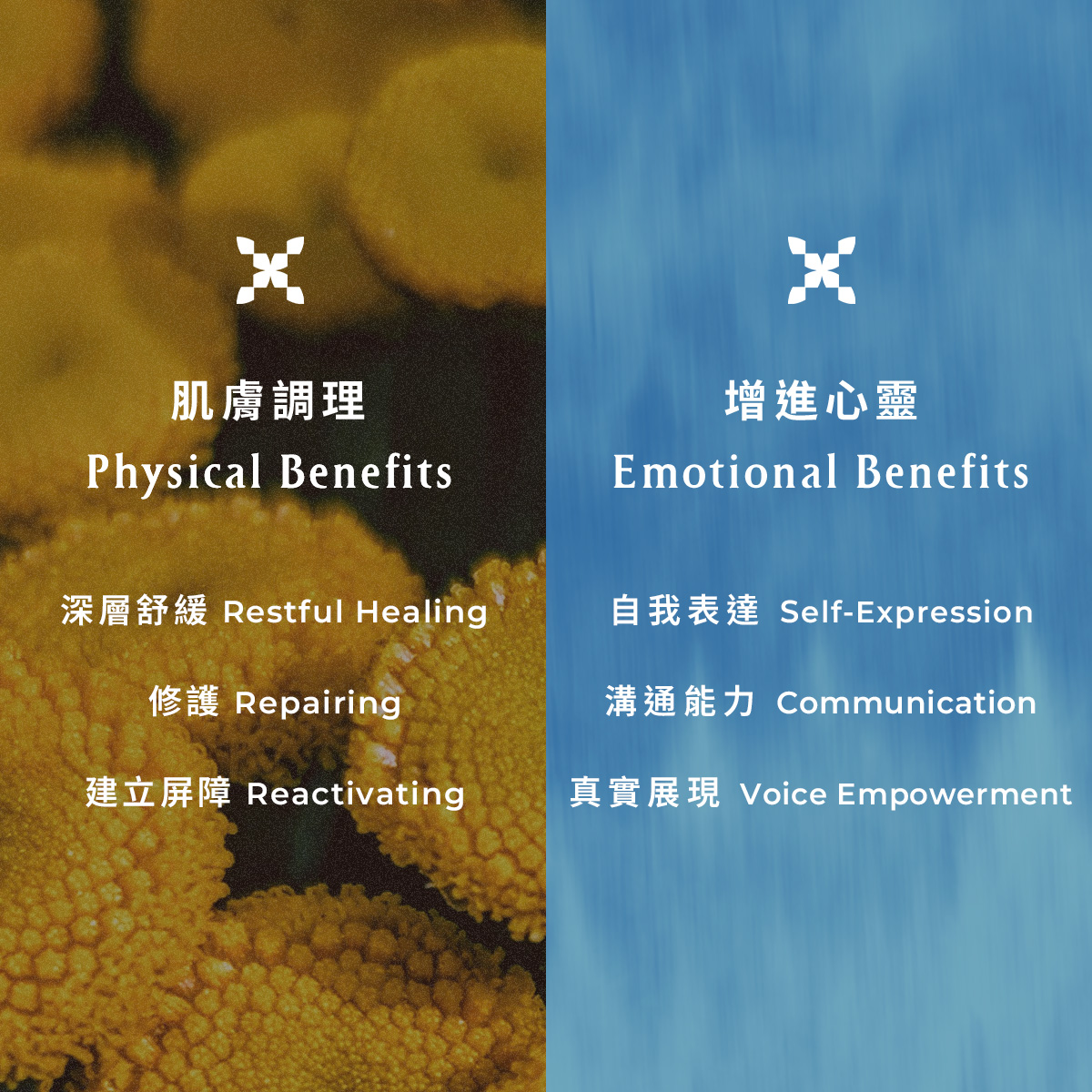 New 藍艾菊舒眠修護精油面膜 - Image 4