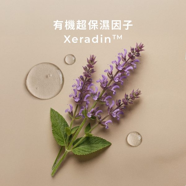 06_myrrh serum