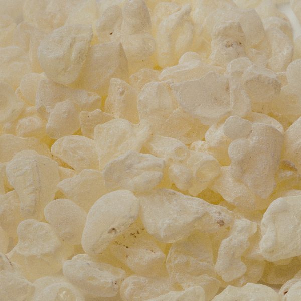 Pistacia Lentiscus (Mastic) Gum (Lakesis) ​