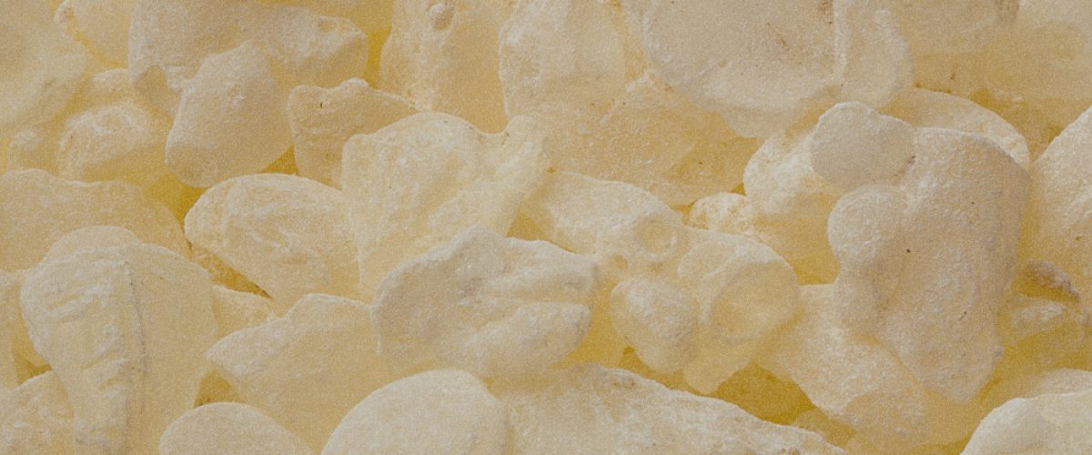 Pistacia Lentiscus (Mastic) Gum (Lakesis) ​